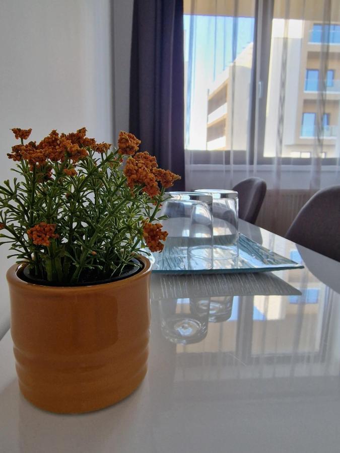 Vic Apartament Drobeta Turnu Severin Bagian luar foto